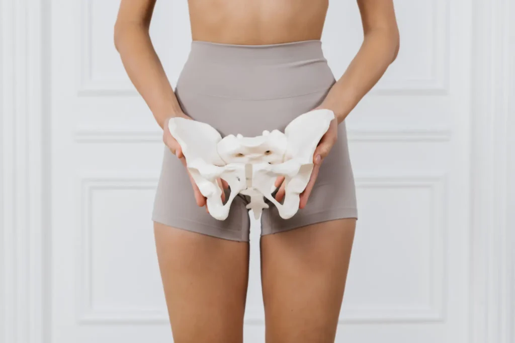 Woman holding pelvic bone model