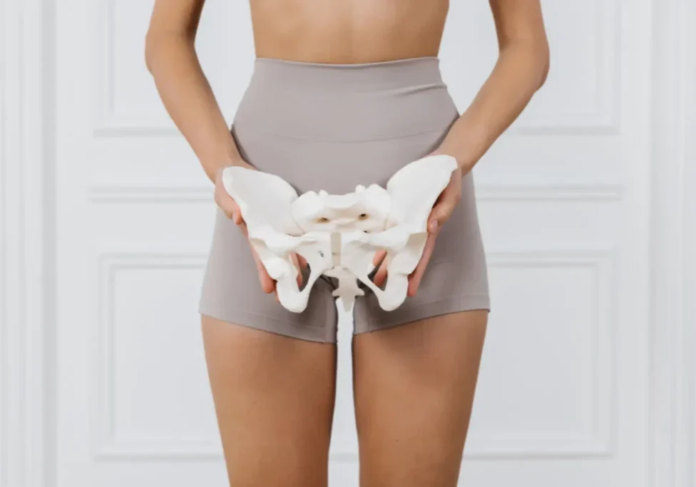 Woman holding pelvic bone model